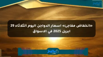 «انخفاض مفاجئ» أسعار الدواجن اليوم الثلاثاء 29 أبريل 2025 في الأسواق